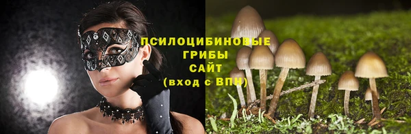 молекула духа Бугульма