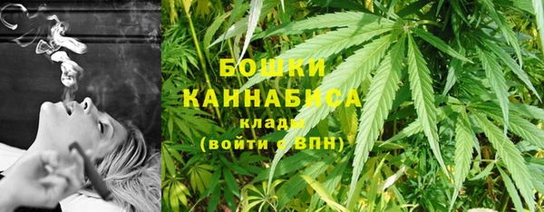 молекула духа Бугульма