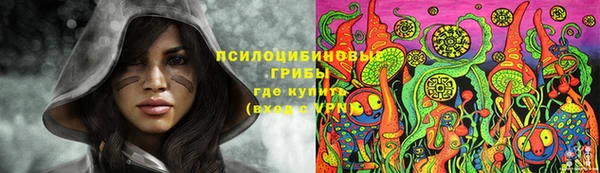 молекула духа Бугульма