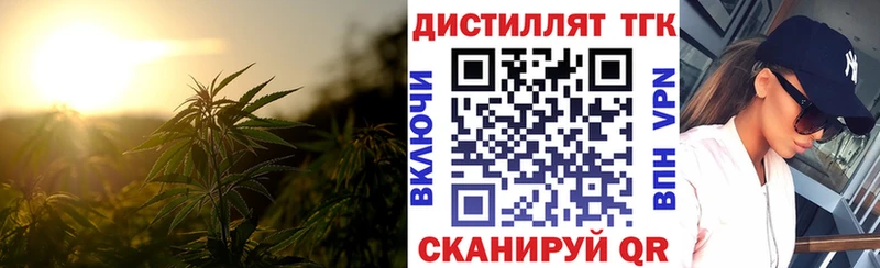 Купить где  Дагестанские Огни  Дистиллят ТГК THC oil 
