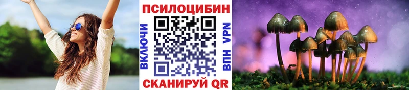 Купить закладки  Дагестанские Огни  Галлюциногенные грибы ЛСД 
